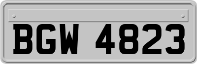BGW4823