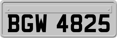 BGW4825