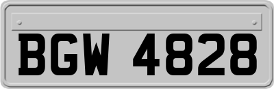 BGW4828
