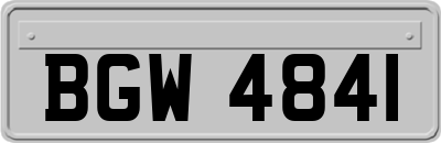 BGW4841
