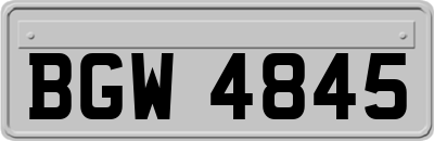 BGW4845
