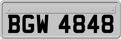 BGW4848