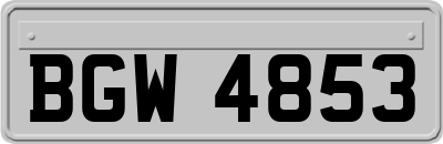 BGW4853