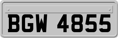 BGW4855