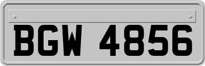 BGW4856