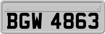 BGW4863