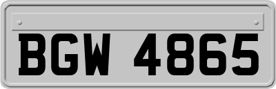 BGW4865