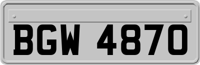 BGW4870