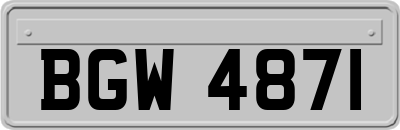 BGW4871