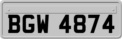 BGW4874