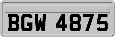 BGW4875