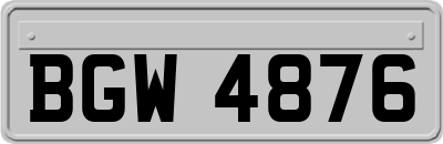 BGW4876