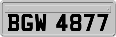 BGW4877
