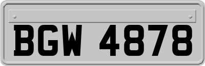 BGW4878