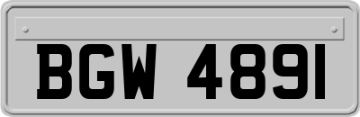 BGW4891
