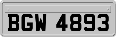 BGW4893