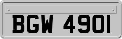 BGW4901