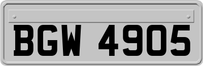 BGW4905