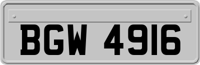 BGW4916