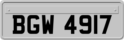 BGW4917