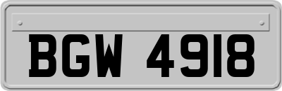 BGW4918