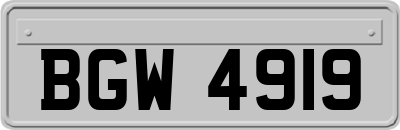 BGW4919