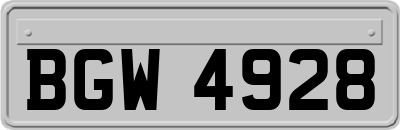 BGW4928