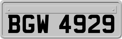 BGW4929