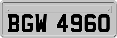 BGW4960