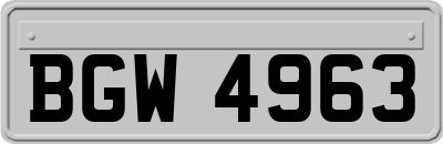 BGW4963