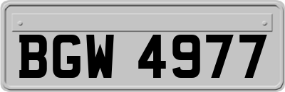 BGW4977
