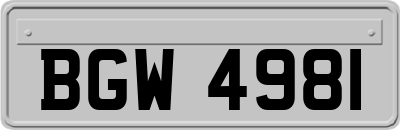 BGW4981