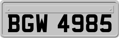 BGW4985