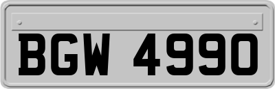 BGW4990