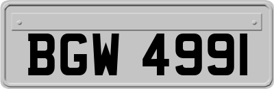 BGW4991