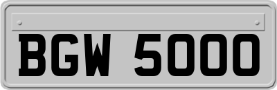BGW5000