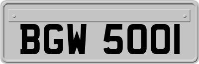 BGW5001