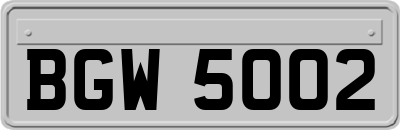 BGW5002
