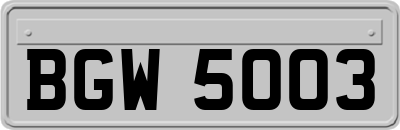 BGW5003