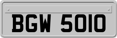 BGW5010