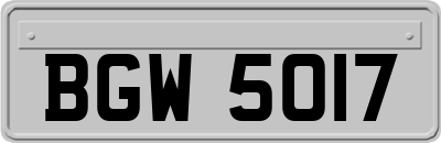 BGW5017