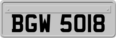 BGW5018