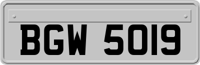BGW5019