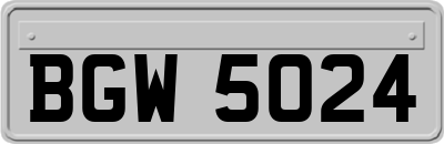 BGW5024