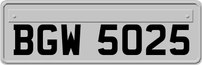 BGW5025