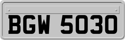 BGW5030