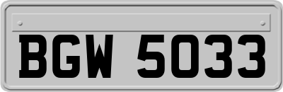 BGW5033