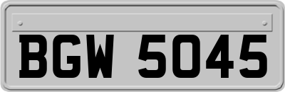 BGW5045