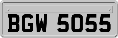 BGW5055