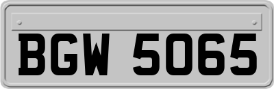BGW5065